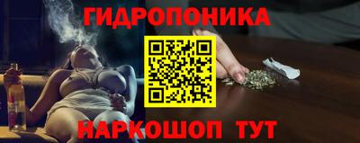 а пвп мука Кингисепп